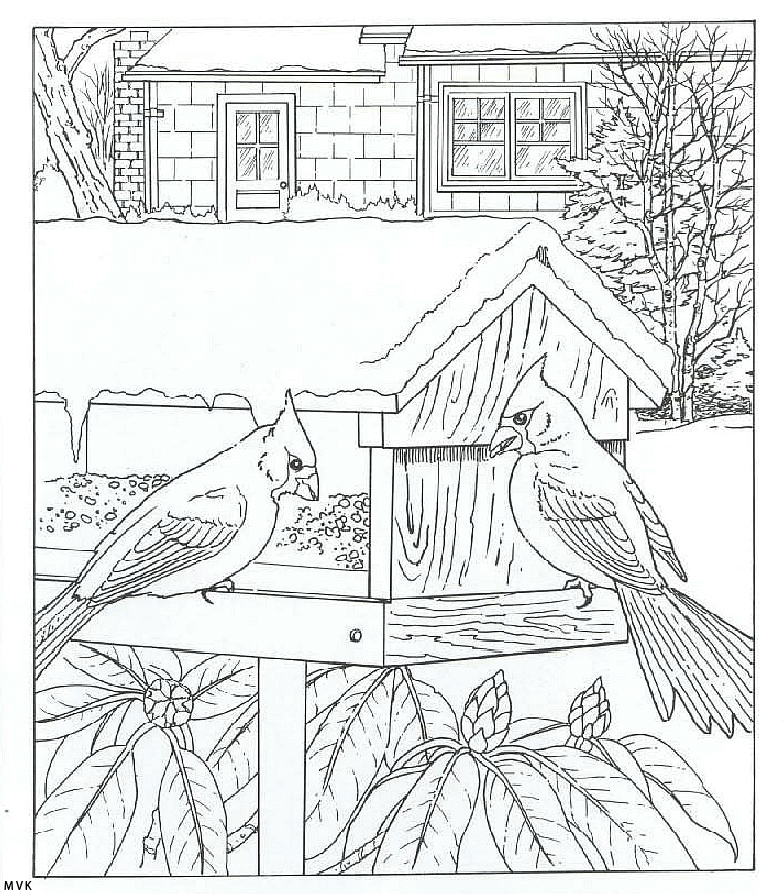 nature in the backyard 04